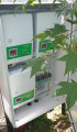  SUNTEK -   